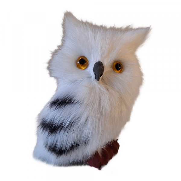 Eule - viele Modelle